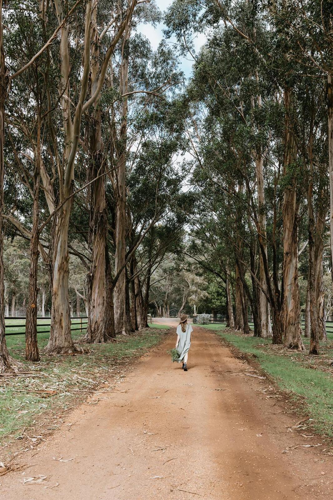 Chambre Estate Margaret River Exterior foto